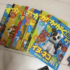 2026年最新】かがく組の人気アイテム - メルカリ