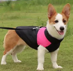 Item thumbnail for item 3d75fc5d-087d-4a67-a2e4-c2cbec12788e