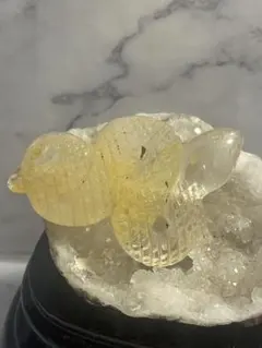 2026年最新】ゴールデンヒーラーの人気アイテム - メルカリ