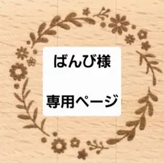 ナースポケット　オーガナイザー　移動ポケット
