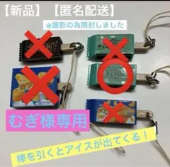 【匿名配送】赤城乳業アイスシリーズ