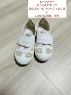 ムーンスター　MOONSTAR BIO Tef 17センチ