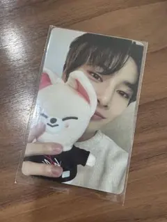 Straykids アイエン トレカ skzoo