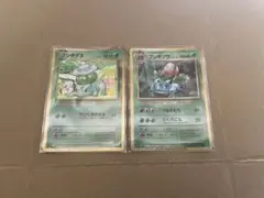 ポケモンカード classic フシギダネ 進化ライン クラシック