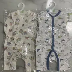 Item thumbnail for item 1f3900a4-8d5c-4311-a4e9-5842a5f92d9a