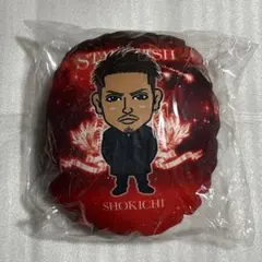 2025年最新】shokichi クッションの人気アイテム - メルカリ
