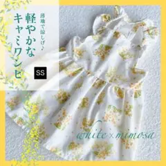 Item thumbnail for item e0a67222-7d65-4792-a527-96e123166496