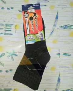 Item thumbnail for item 0a2d49dd-f2eb-4728-87d9-dd2eb2ac1fff