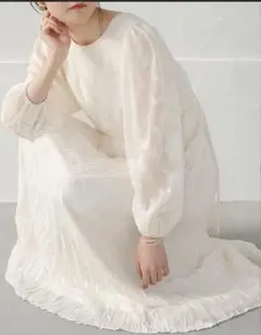 Bab シアージャガードフラワーワンピース