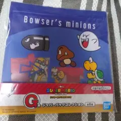 一番くじ スーパーマリオ いつも一緒　G賞 ジッパーバッグコレクション１点