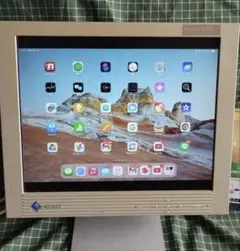 eizo flex
