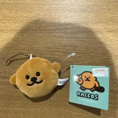 RACCOS ぬいぐるみメジャー