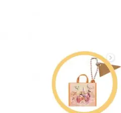 ディズニー 40周年 カプセルトイ  ショッピングバック