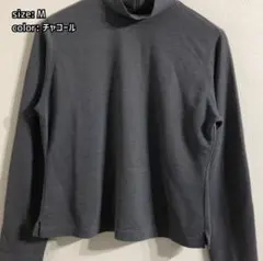 Item thumbnail for item 57da6051-898e-496b-bc83-df5849988020