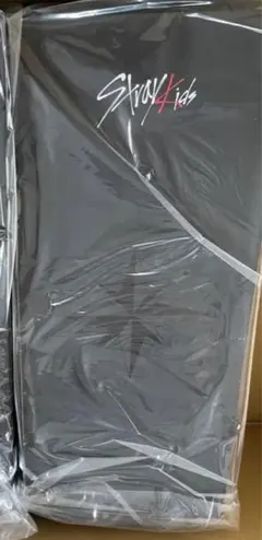 straykids OFFICIAL LIGHT STICK VER.2