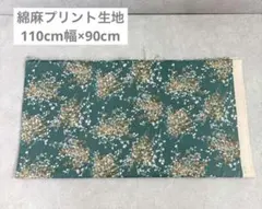 Item thumbnail for item 0731ebcb-df8e-4edf-a46e-c132d4d955aa