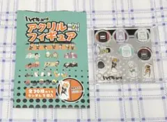 ハイキュー　アクリルminiminiフィギュア　日向　岩泉　牛島　青根　②