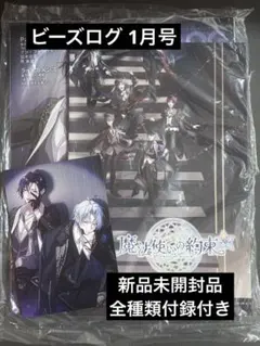 【新品未開封品】B's-LOG ビーズログ 1月号