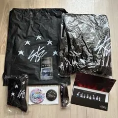 StrayKids スキズ アプグレ 5STAR S-Classシート 特典