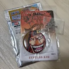 ワンピース 缶バッジ＆特製ホルダーコレクション 第2弾 ユースタス・キッド