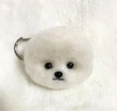 2026年最新】ビション羊毛の人気アイテム - メルカリ