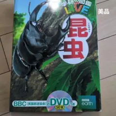 Item thumbnail for item 9325ed7b-1bbc-4756-920a-23279d3c4bb4