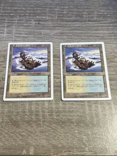 アダーカー荒原 2枚セット MTG - メルカリ