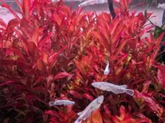 みつき様 リクエスト 3点 まとめ商品