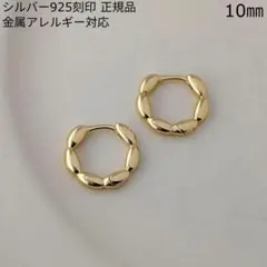ぷっくり　ドーナツのようなデザイン　フープピアス　K18ゴールド　シルバー925