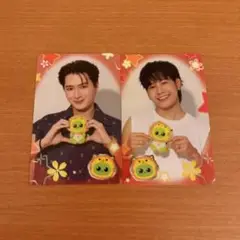 【KristSingto】日本限定セルフィートレカ　2枚