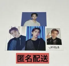 SEVENTEEN ジョシュア トレカ インスタントフォト まとめ売り