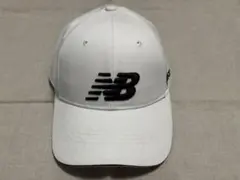 Item thumbnail for item 6c934d3a-bfb5-4643-a644-b9ae752e874a