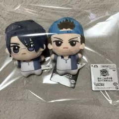 2025年最新】宍戸亮 ぬいぐるみの人気アイテム - メルカリ