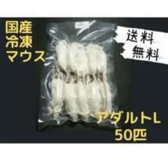 レク太郎 様専用！AZアダルト並粒10kg✖️2袋 成犬用 ブリーダーパック
