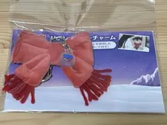 名探偵コナン 隻眼の残像 リボンマフラーチャーム