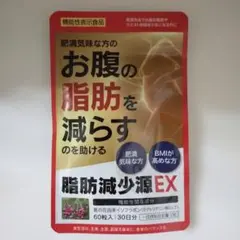 お腹の脂肪を減らす　脂肪減少源EX 60粒入のサムネイル