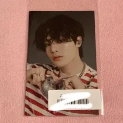 Stray Kids スキズ　MAXIDENT ソニミュ トレカ　アイエン　特典