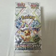 2026年最新】テラスタルフェスex BOXの人気アイテム - メルカリ