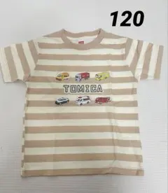 しまむら トミカ ボーダー 半袖 120
