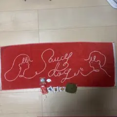 サウシードッグ グッズまとめ売り It RE Arena ツアー