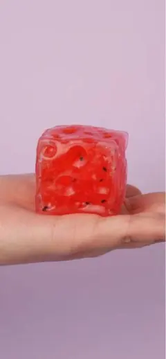 Pawtotoパウトト シャリシャリチーズ スイカ B