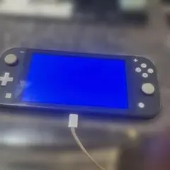 Nintendo Switch Lite グレー 本体ジャンク品