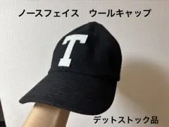 THE NORTH FACE TNFロゴフランネルキャップ