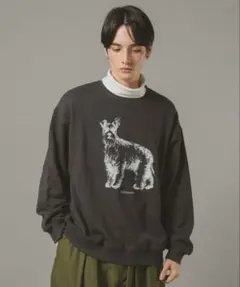 23aw THE SHINZONE シンゾーンホーススウェット 馬プリント - メルカリ
