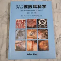 Item thumbnail for item b7184d1c-2ca2-4bb5-9312-e6a26a8f0bd7