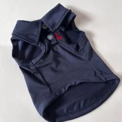 Item thumbnail for item 95bc12f2-19cd-4442-ab8d-93b7741dcd5c