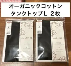 Item thumbnail for item af2af5c9-93d7-4d72-9e4b-da3b6aaf6e8f