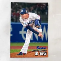 プロ野球チップス 2000 高津臣吾 ヤクルトスワローズ 野球カード