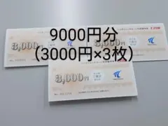 ニッポンレンタカー優待券（3000円✕3枚） 東京センチュリー