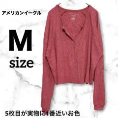 アメリカンイーグル Soft & Sexy Plush リブニット トップス M